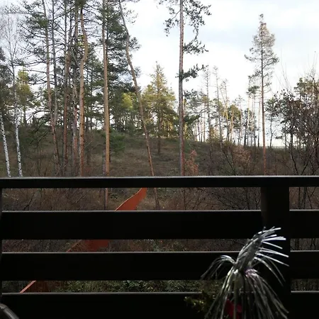 Nikol 2 Deluxe Lägenhet Velingrad