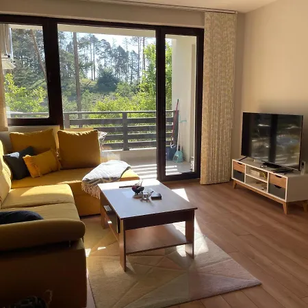 Apartment Nikol 2 Deluxe