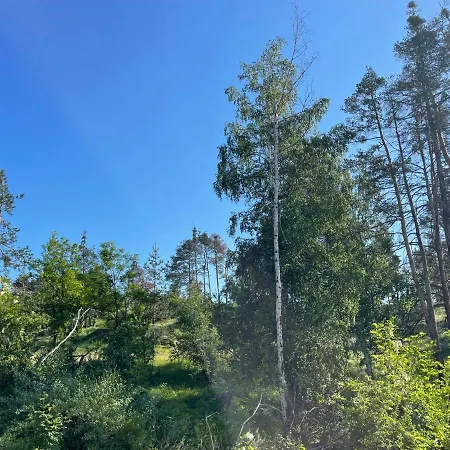 Nikol 2 Deluxe Velingrad