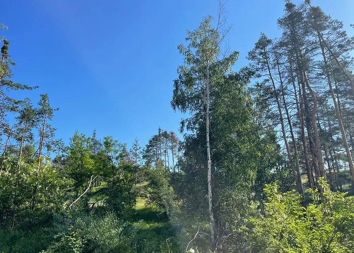 Nikol 2 Deluxe Velingrad